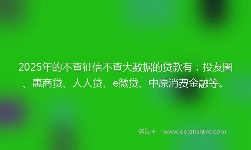 2025年的不查征信不查大数据的贷款有：投友圈、惠商贷、人人贷、e微贷、中原消费金融等。