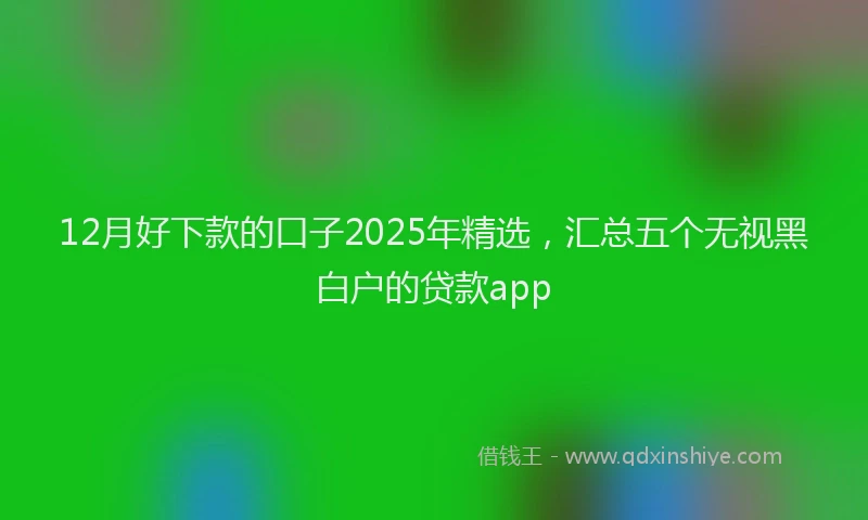 12月好下款的口子2025年精选，汇总五个无视黑白户的贷款app
