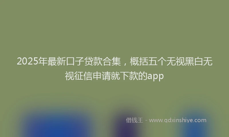 2025年最新口子贷款合集，概括五个无视黑白无视征信申请就下款的app