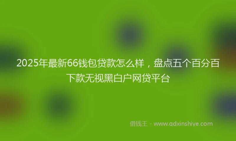2025年最新66钱包贷款怎么样，盘点五个百分百下款无视黑白户网贷平台
