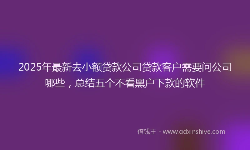 2025年最新去小额贷款公司贷款客户需要问公司哪些，总结五个不看黑户下款的软件