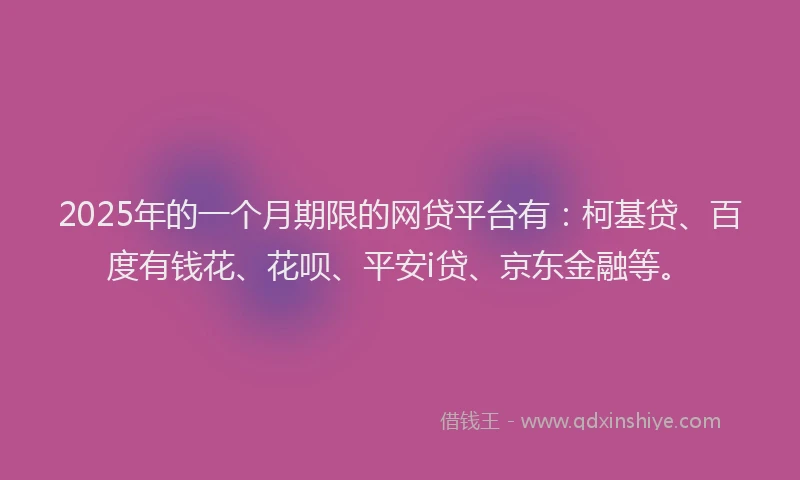 2025年的一个月期限的网贷平台有：柯基贷、百度有钱花、花呗、平安i贷、京东金融等。