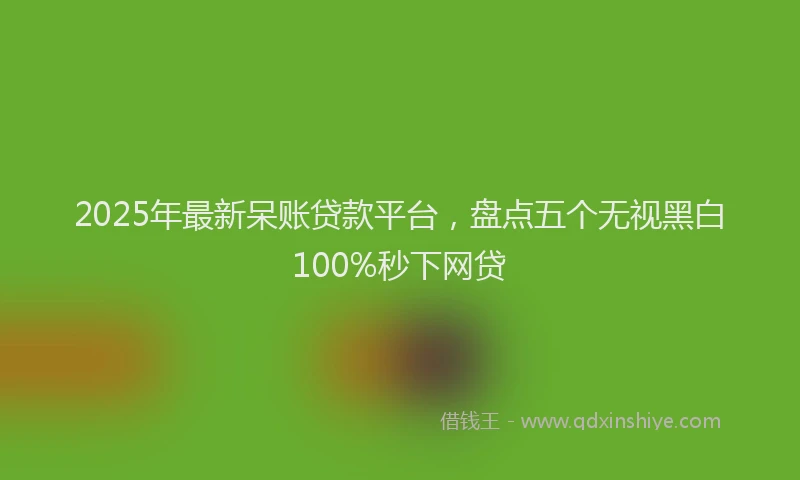 2025年最新呆账贷款平台，盘点五个无视黑白100%秒下网贷