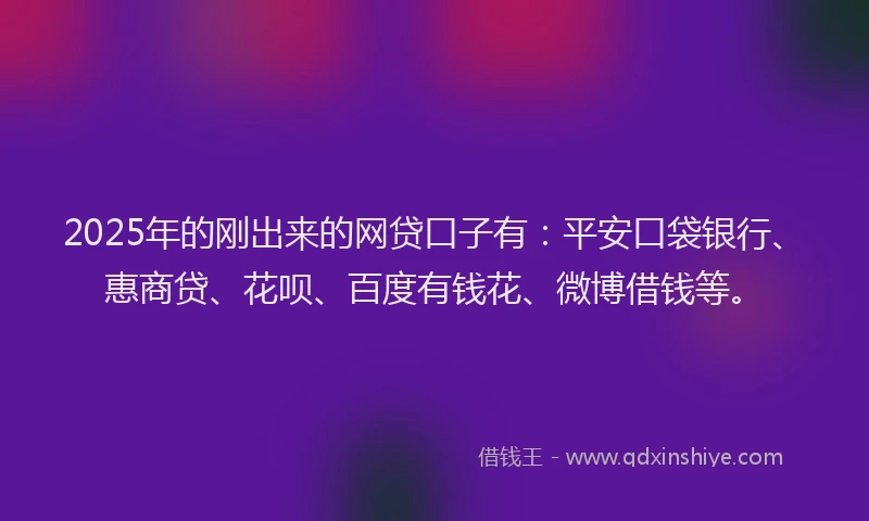 2025年的刚出来的网贷口子有：平安口袋银行、惠商贷、花呗、百度有钱花、微博借钱等。