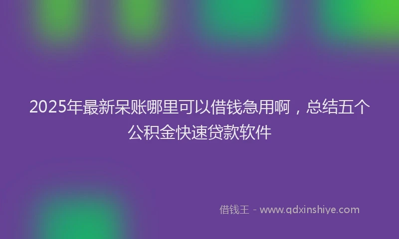 2025年最新呆账哪里可以借钱急用啊，总结五个公积金快速贷款软件