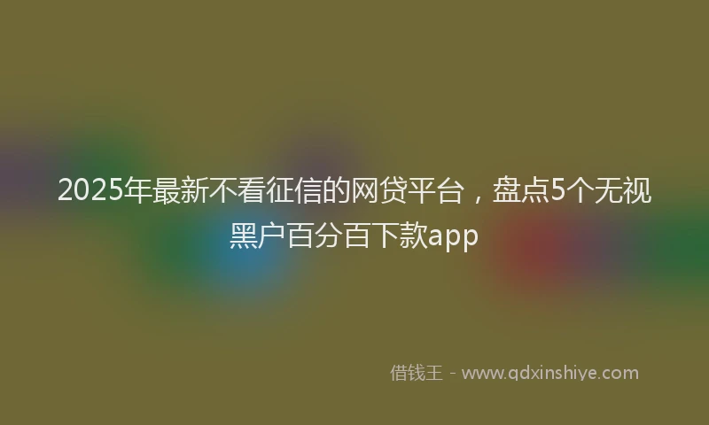 2025年最新不看征信的网贷平台，盘点5个无视黑户百分百下款app