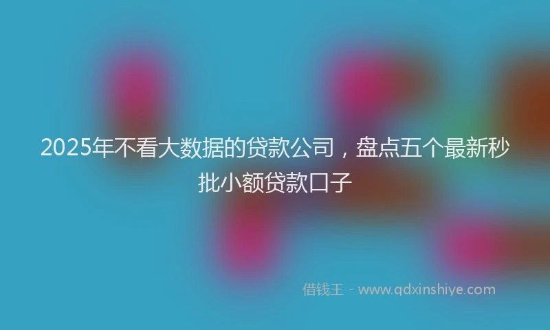 2025年不看大数据的贷款公司，盘点五个最新秒批小额贷款口子