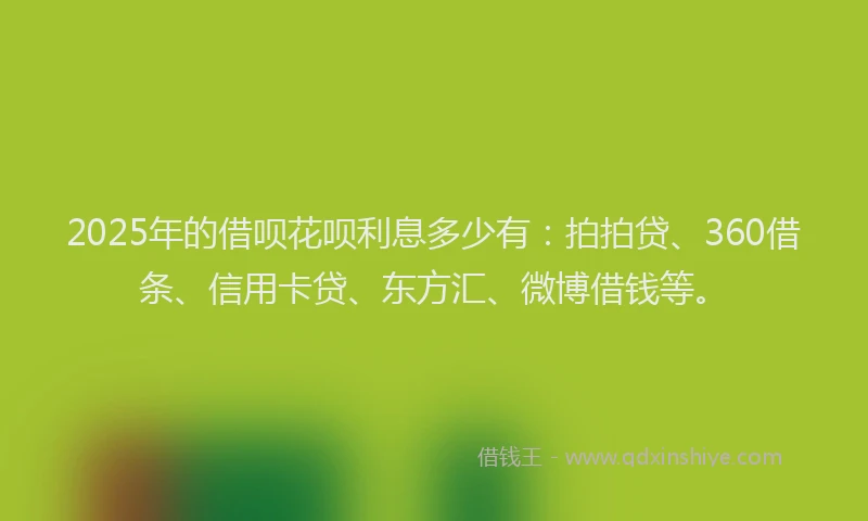 2025年的借呗花呗利息多少有：拍拍贷、360借条、信用卡贷、东方汇、微博借钱等。