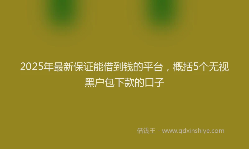 2025年最新保证能借到钱的平台，概括5个无视黑户包下款的口子