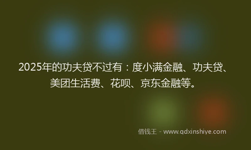 2025年的功夫贷不过有：度小满金融、功夫贷、美团生活费、花呗、京东金融等。
