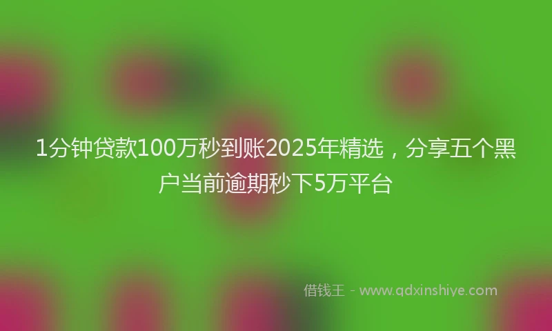 1分钟贷款100万秒到账2025年精选，分享五个黑户当前逾期秒下5万平台