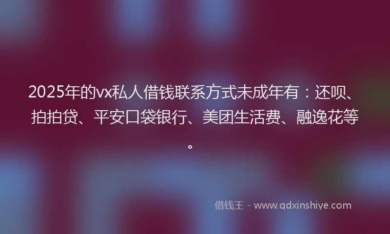2025年的vx私人借钱联系方式未成年有：还呗、拍拍贷、平安口袋银行、美团生活费、融逸花等。