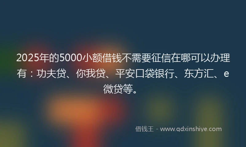 2025年的5000小额借钱不需要征信在哪可以办理有：功夫贷、你我贷、平安口袋银行、东方汇、e微贷等。