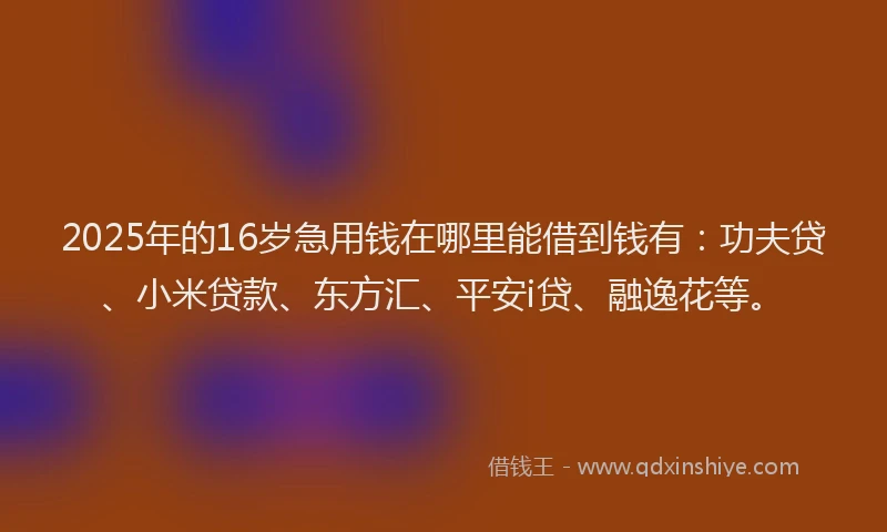 2025年的16岁急用钱在哪里能借到钱有：功夫贷、小米贷款、东方汇、平安i贷、融逸花等。