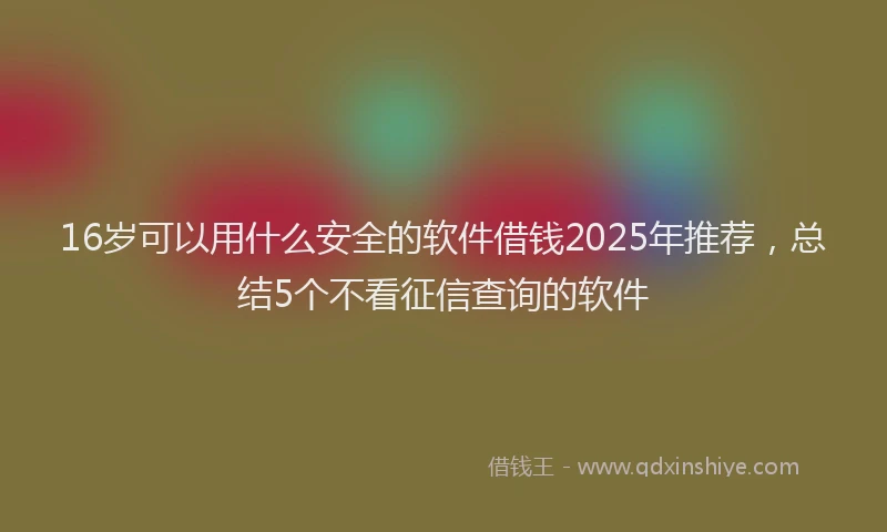 16岁可以用什么安全的软件借钱2025年推荐，总结5个不看征信查询的软件