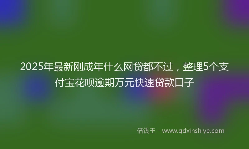 2025年最新刚成年什么网贷都不过，整理5个支付宝花呗逾期万元快速贷款口子
