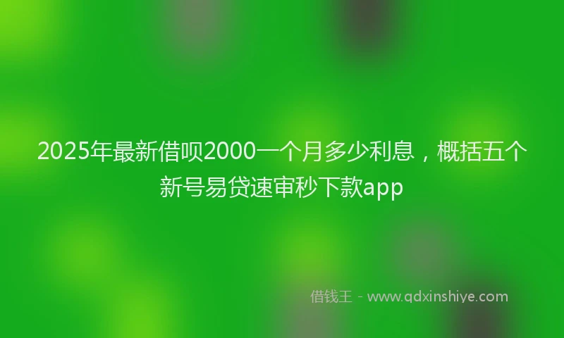 2025年最新借呗2000一个月多少利息，概括五个新号易贷速审秒下款app