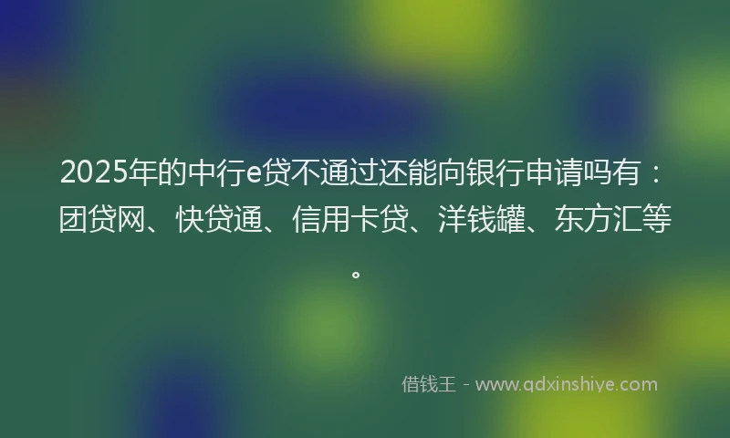 2025年的中行e贷不通过还能向银行申请吗有：团贷网、快贷通、信用卡贷、洋钱罐、东方汇等。