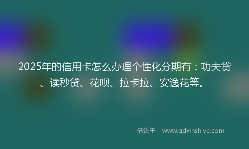 2025年的信用卡怎么办理个性化分期有：功夫贷、读秒贷、花呗、拉卡拉、安逸花等。