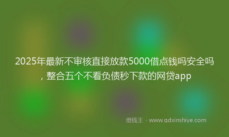 2025年最新不审核直接放款5000借点钱吗安全吗，整合五个不看负债秒下款的网贷app