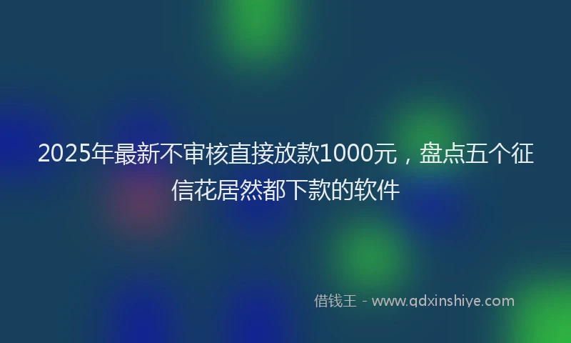 2025年最新不审核直接放款1000元，盘点五个征信花居然都下款的软件