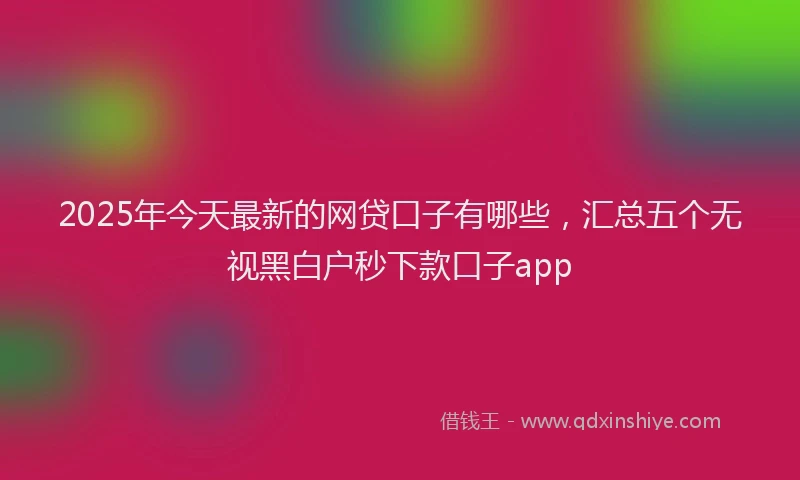 2025年今天最新的网贷口子有哪些，汇总五个无视黑白户秒下款口子app