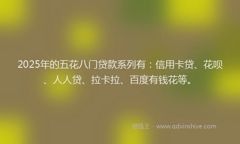 2025年的五花八门贷款系列有：信用卡贷、花呗、人人贷、拉卡拉、百度有钱花等。