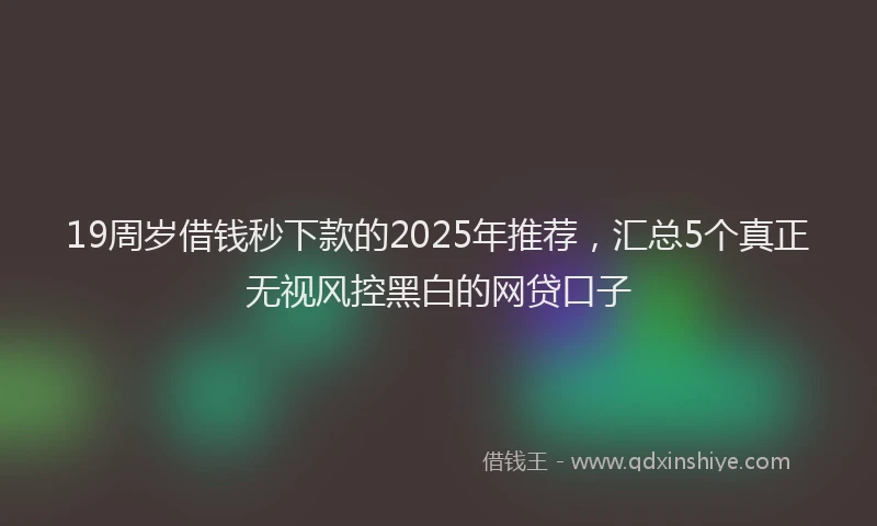 19周岁借钱秒下款的2025年推荐，汇总5个真正无视风控黑白的网贷口子