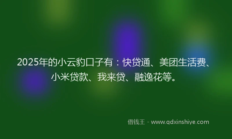 2025年的小云豹口子有：快贷通、美团生活费、小米贷款、我来贷、融逸花等。