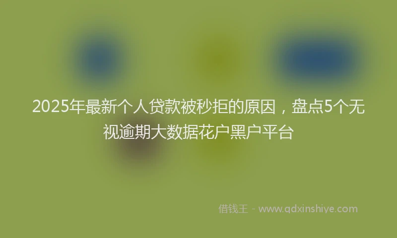 2025年最新个人贷款被秒拒的原因，盘点5个无视逾期大数据花户黑户平台