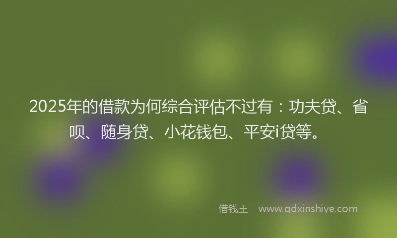 2025年的借款为何综合评估不过有：功夫贷、省呗、随身贷、小花钱包、平安i贷等。