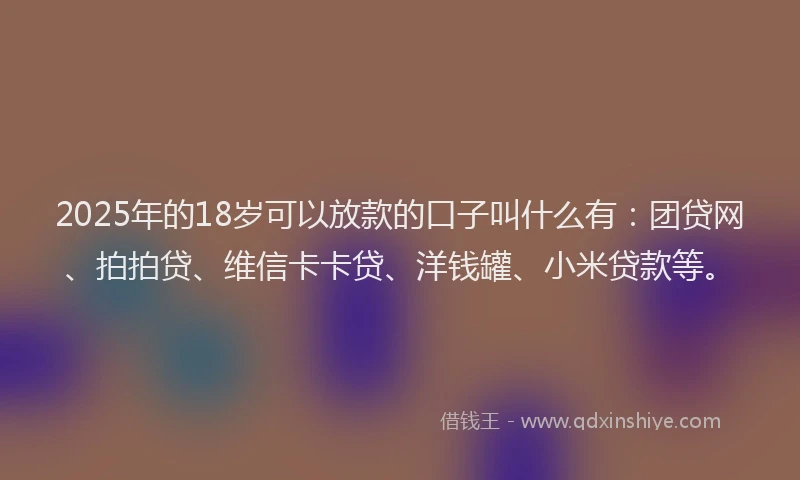 2025年的18岁可以放款的口子叫什么有：团贷网、拍拍贷、维信卡卡贷、洋钱罐、小米贷款等。