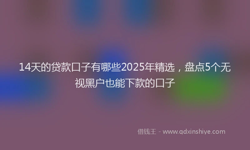 14天的贷款口子有哪些2025年精选，盘点5个无视黑户也能下款的口子