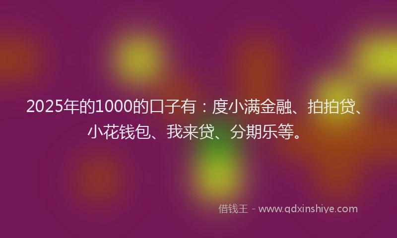 2025年的1000的口子有：度小满金融、拍拍贷、小花钱包、我来贷、分期乐等。