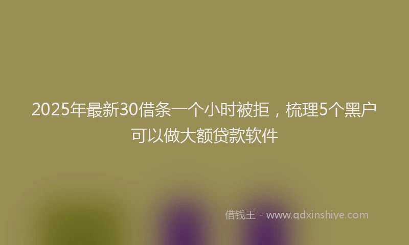 2025年最新30借条一个小时被拒，梳理5个黑户可以做大额贷款软件