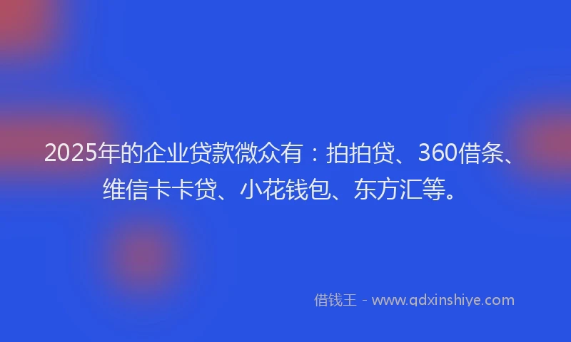 2025年的企业贷款微众有：拍拍贷、360借条、维信卡卡贷、小花钱包、东方汇等。