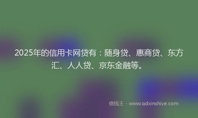 2025年的信用卡网贷有：随身贷、惠商贷、东方汇、人人贷、京东金融等。