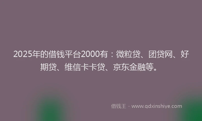2025年的借钱平台2000有：微粒贷、团贷网、好期贷、维信卡卡贷、京东金融等。