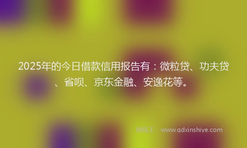 2025年的今日借款信用报告有：微粒贷、功夫贷、省呗、京东金融、安逸花等。