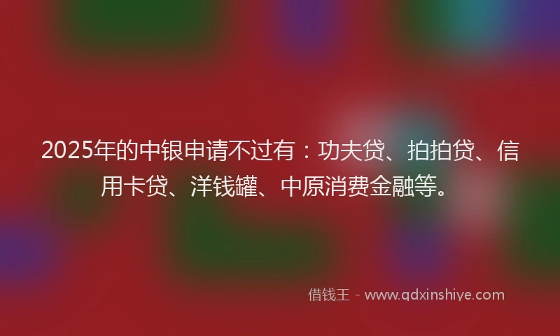 2025年的中银申请不过有：功夫贷、拍拍贷、信用卡贷、洋钱罐、中原消费金融等。