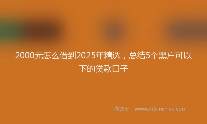 2000元怎么借到2025年精选，总结5个黑户可以下的贷款口子
