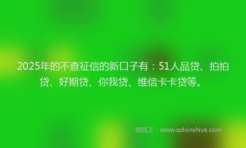 2025年的不查征信的新口子有：51人品贷、拍拍贷、好期贷、你我贷、维信卡卡贷等。