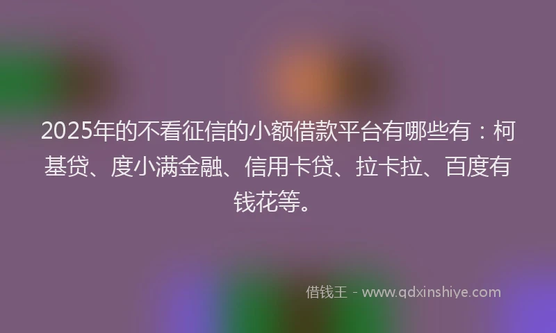 2025年的不看征信的小额借款平台有哪些有：柯基贷、度小满金融、信用卡贷、拉卡拉、百度有钱花等。