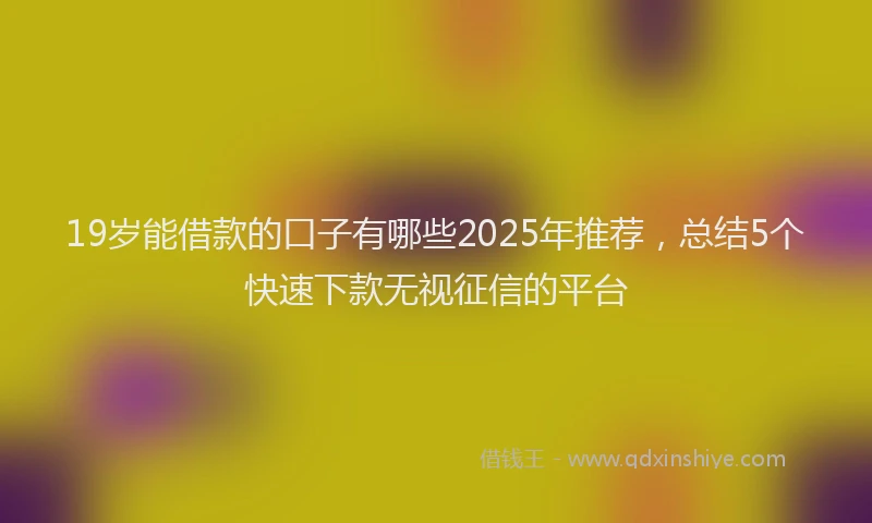 19岁能借款的口子有哪些2025年推荐，总结5个快速下款无视征信的平台