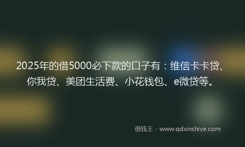 2025年的借5000必下款的口子有：维信卡卡贷、你我贷、美团生活费、小花钱包、e微贷等。