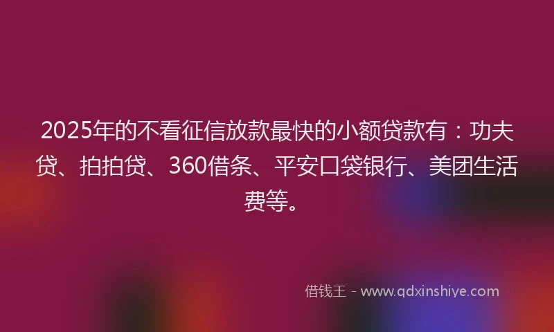 2025年的不看征信放款最快的小额贷款有：功夫贷、拍拍贷、360借条、平安口袋银行、美团生活费等。