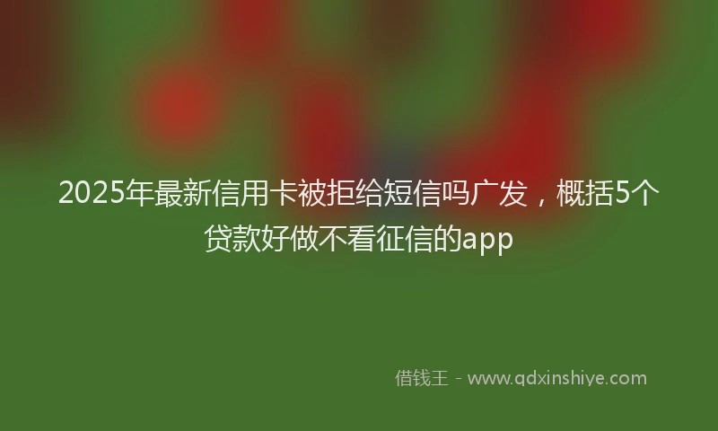 2025年最新信用卡被拒给短信吗广发，概括5个贷款好做不看征信的app