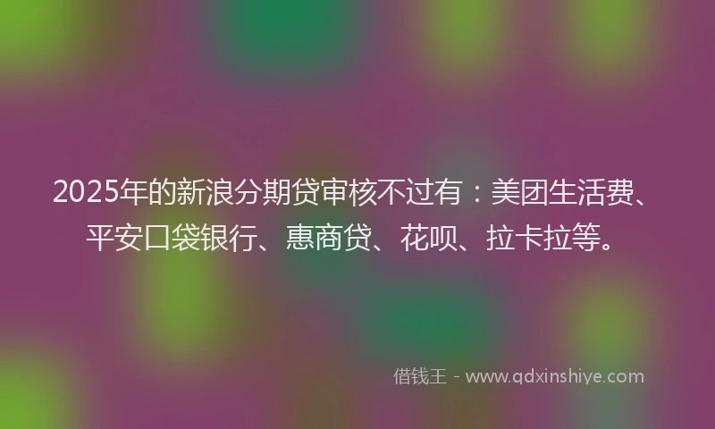 2025年的新浪分期贷审核不过有：美团生活费、平安口袋银行、惠商贷、花呗、拉卡拉等。