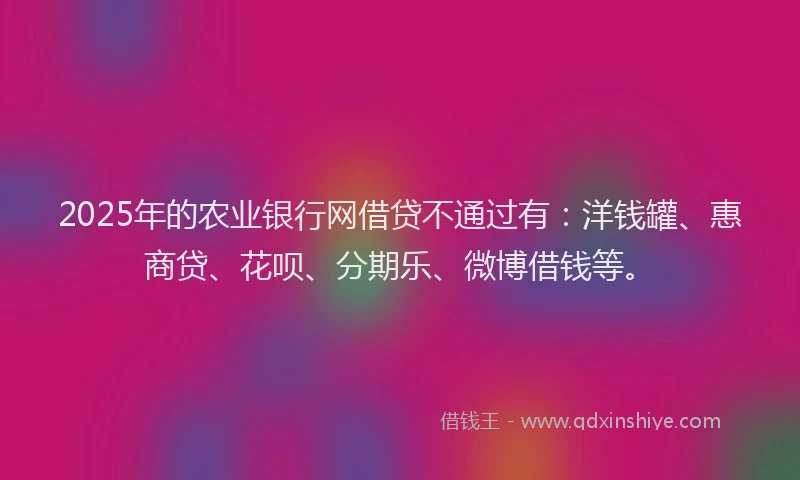 2025年的农业银行网借贷不通过有：洋钱罐、惠商贷、花呗、分期乐、微博借钱等。