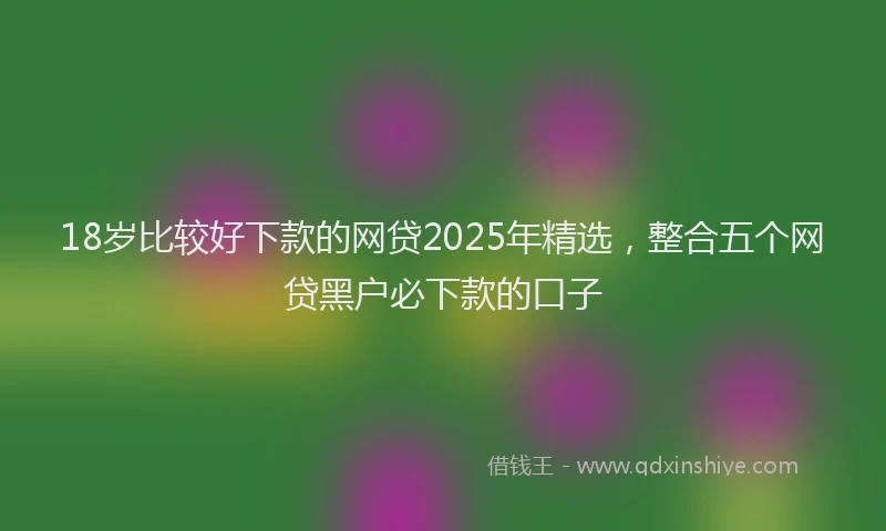 18岁比较好下款的网贷2025年精选，整合五个网贷黑户必下款的口子